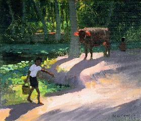 Kerala Backwaters, India, 1996 (oil on canvas) 