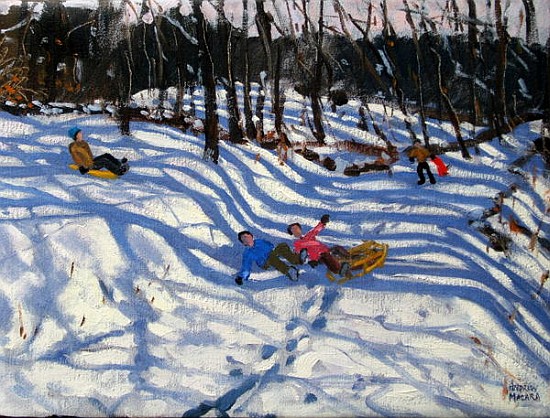 Two boys falling off a sledge, Morzine (oil on canvas)  od Andrew  Macara