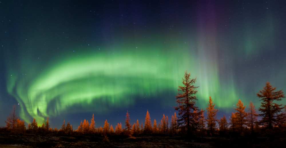 Northern lights od Andrey Snegirev