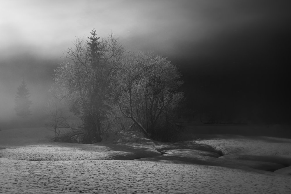 winter is painting in bw od Andy Dauer