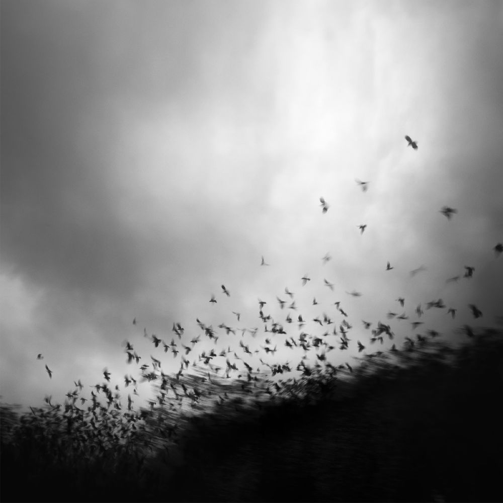 without you, my whole world comes apart at the seams od Andy Lee