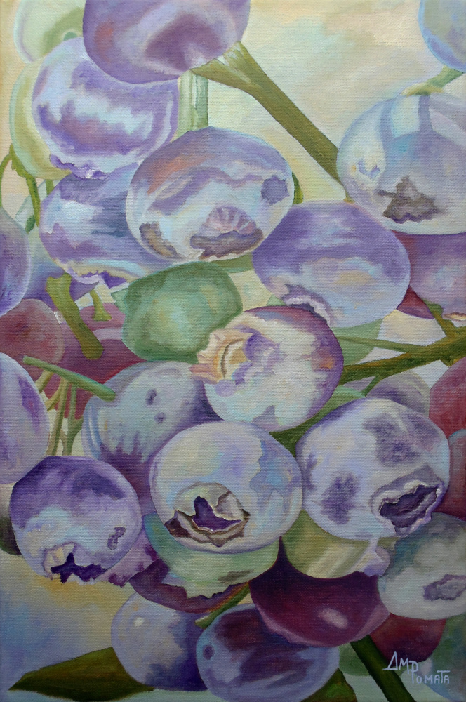 Blueberries od Angeles M. Pomata