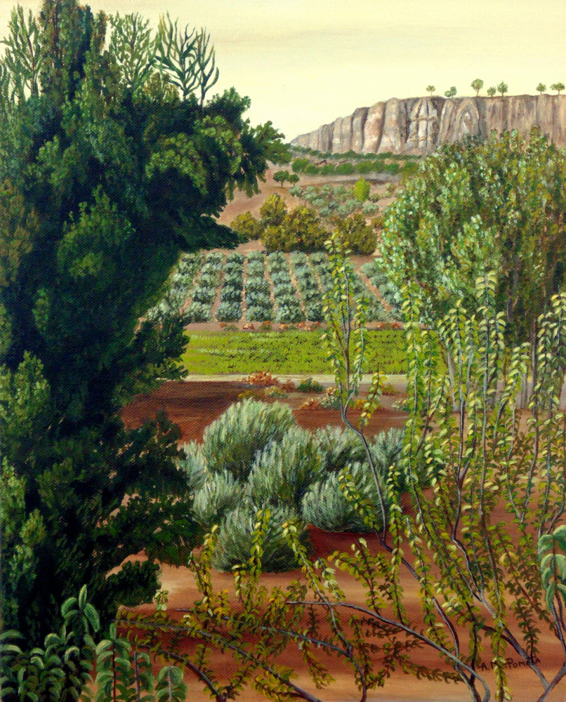 High Mountain Olive Trees od Angeles M. Pomata