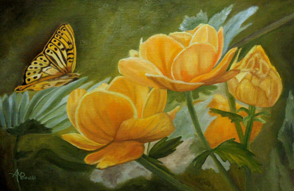 Butterfly Among Yellow Flowers od Angeles M. Pomata