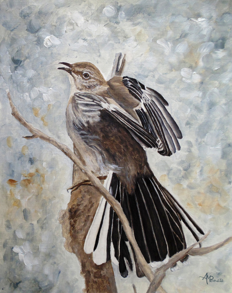 Mockingbird Grandeur od Angeles M. Pomata