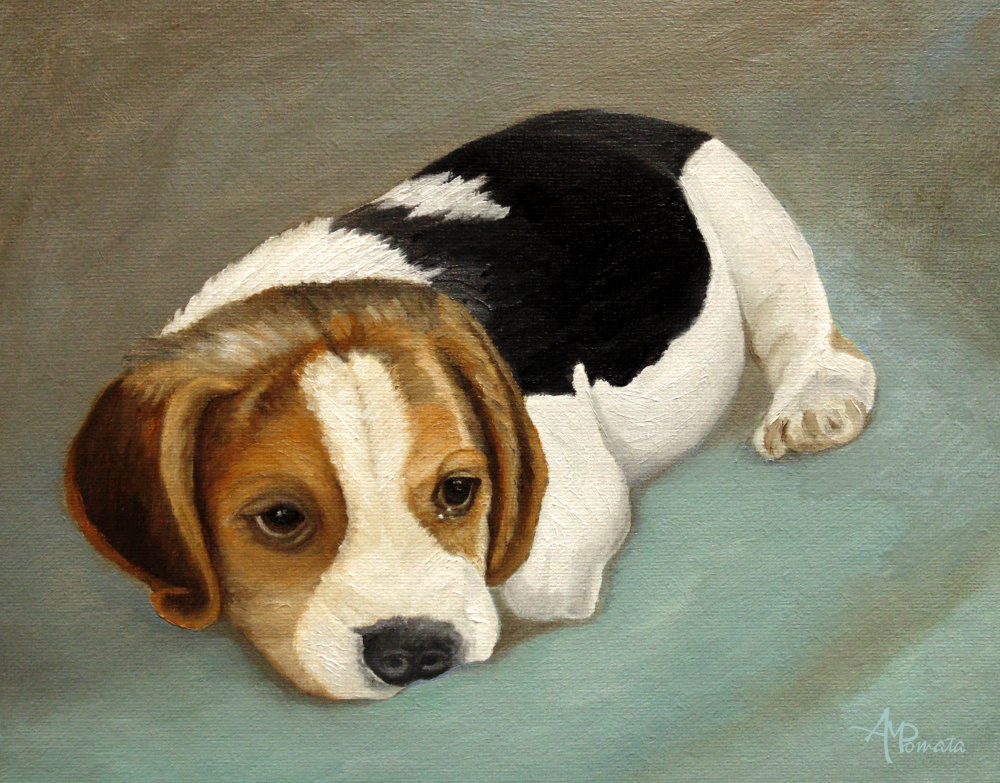 Cute Beagle od Angeles M. Pomata
