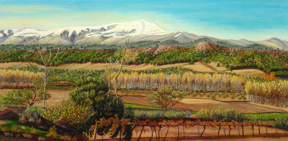 Vineyard Valley In the Sierra Nevada Surroundings od Angeles M. Pomata