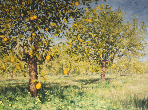 Impossibility of a lemon tree od Angus Hampel