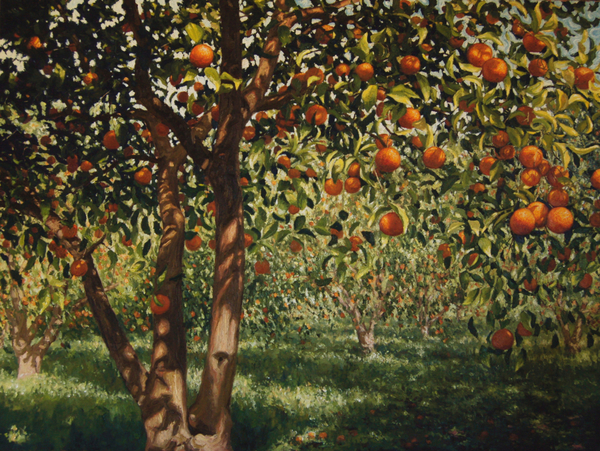 Silence under the oranges II od Angus Hampel