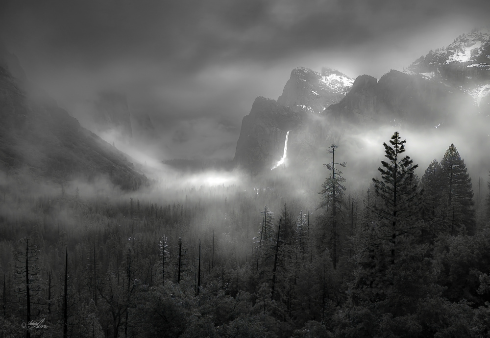 Foggy Yosemite Valley od ANNA AN