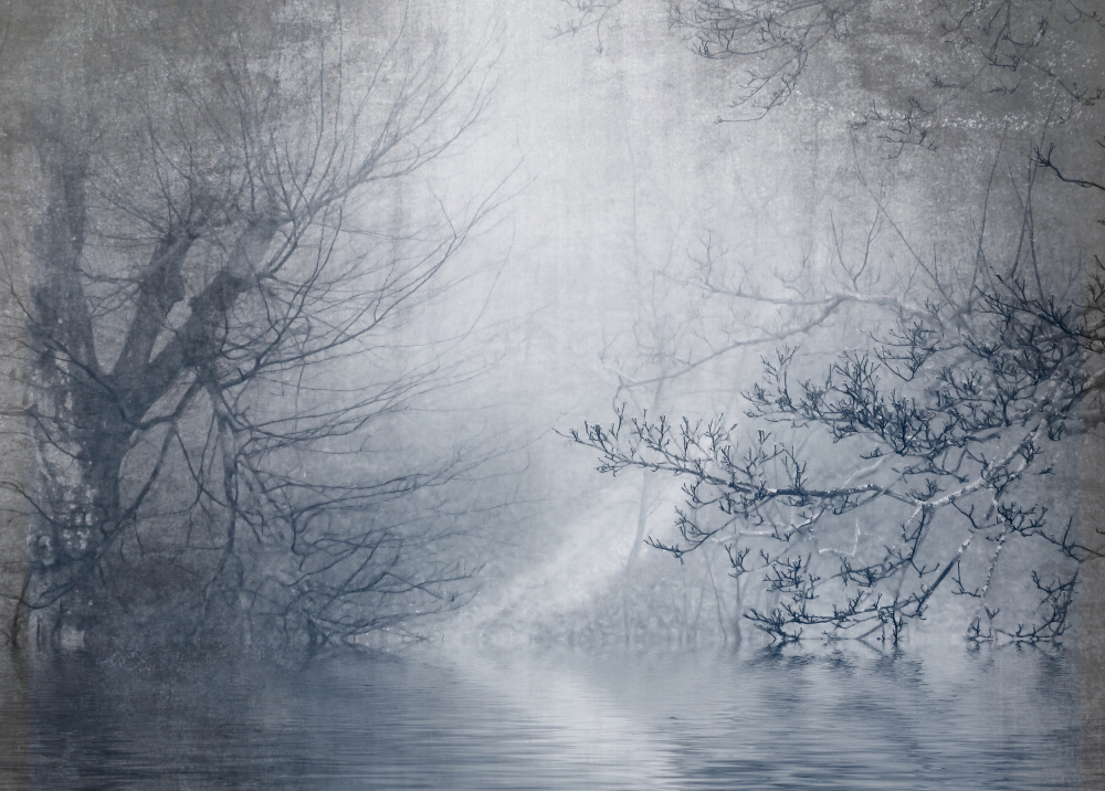 Foggy day od Anna Cseresnjes