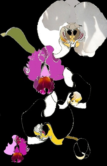 Orchid od  Anna  Platts