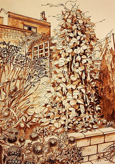 Back Garden with Beans, Bath (pen & ink and wash on paper)  od Anna  Teasdale