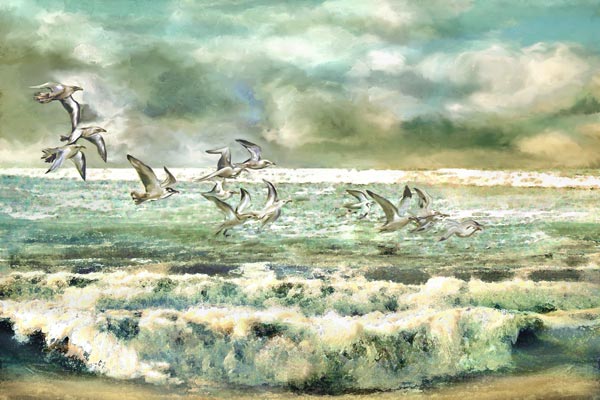 Möwen am Meer od Anne Weirich