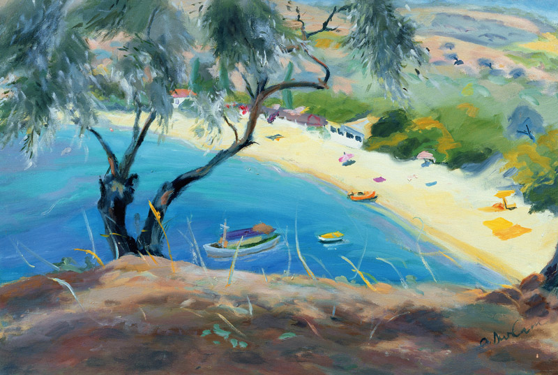 Achladies Bay, Skiathos, Greece, 1985 (oil on canvas)  od Anne  Durham