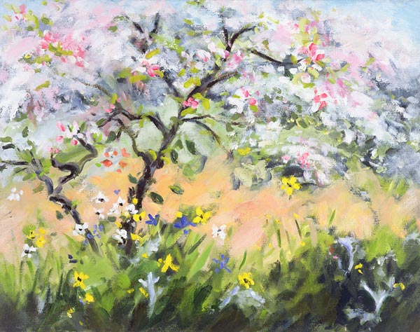 Spring Blossom (oil on canvas)  od Anne  Durham