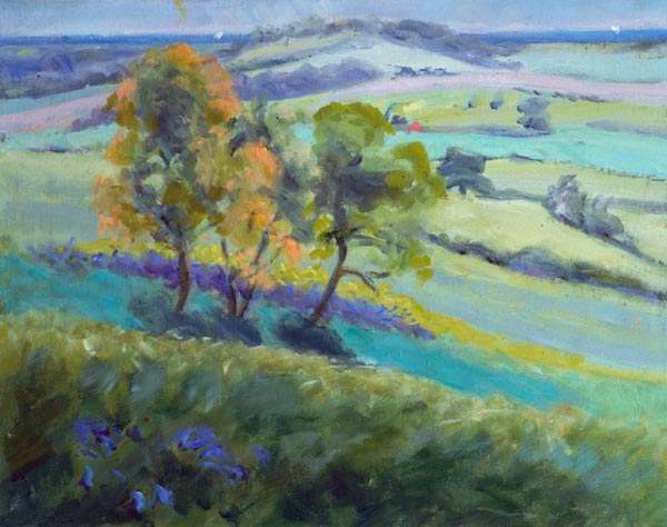 Towards Winchelsea, Sussex, with Bluebells in Spring (oil on canvas)  od Anne  Durham