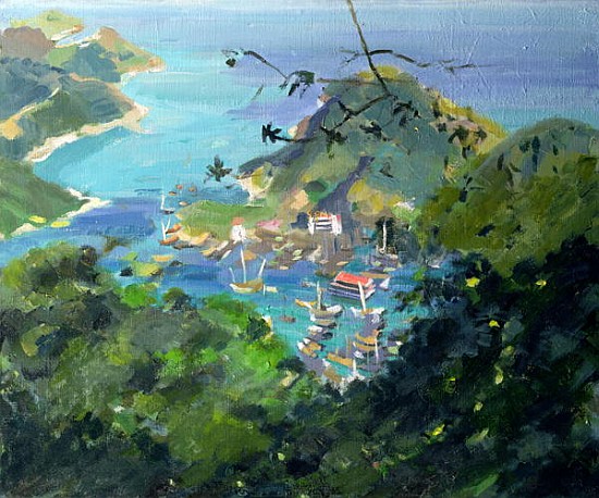 View of Aberdeen from the Peak, Hong Kong (oil on canvas)  od Anne  Durham