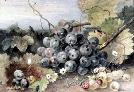 Grapes and Strawberries od Anne Frances Byrne