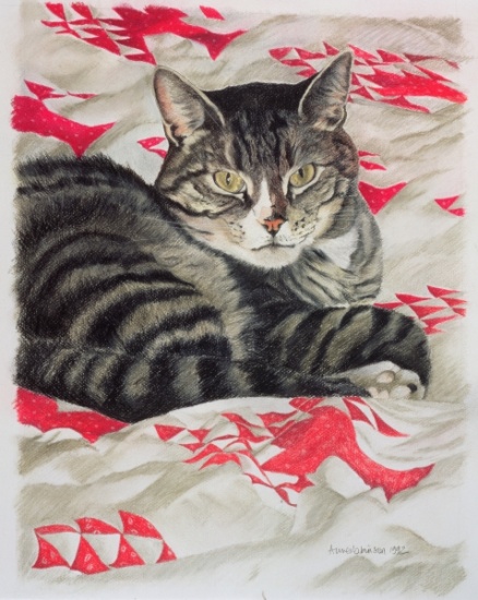 Cat on quilt od Anne  Robinson