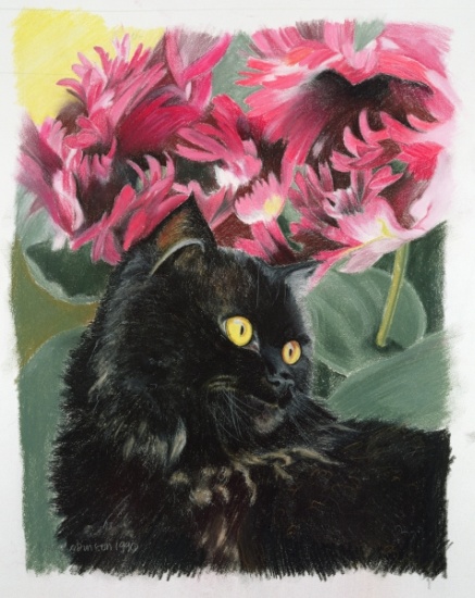 Black tulips od Anne  Robinson