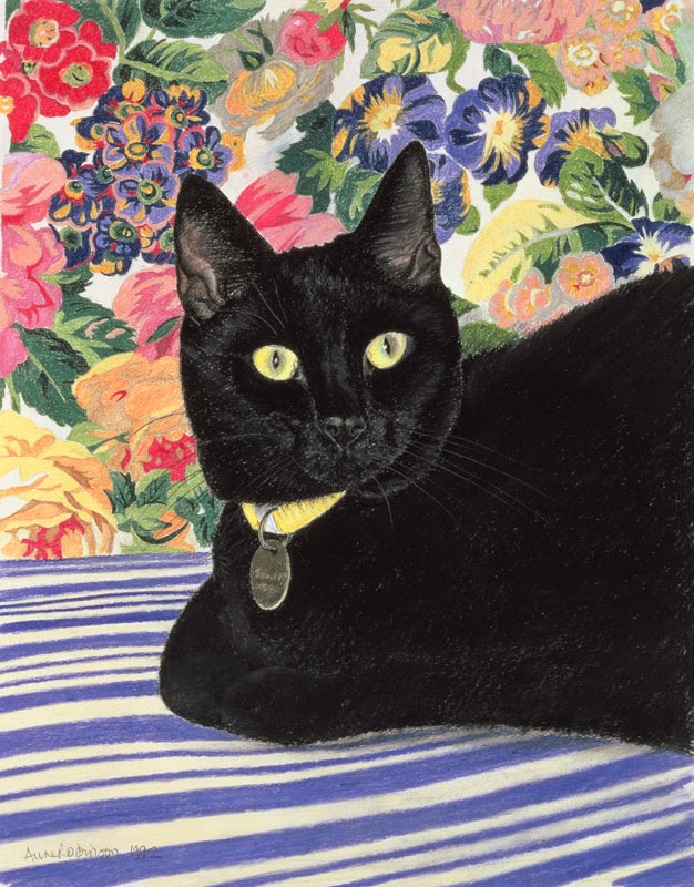 Black Cat (pastel on paper)  od Anne  Robinson