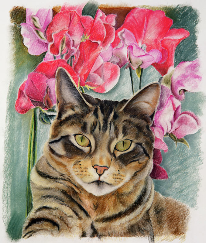 Cat with sweet peas od Anne  Robinson