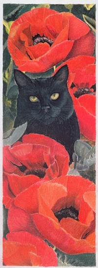 Black Cat with Poppies (pastel on paper)  od Anne  Robinson