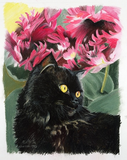 Black tulips od Anne  Robinson