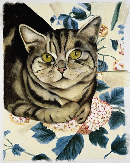 Tabby cat od Anne  Robinson