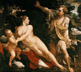 Adonis finds Venus.