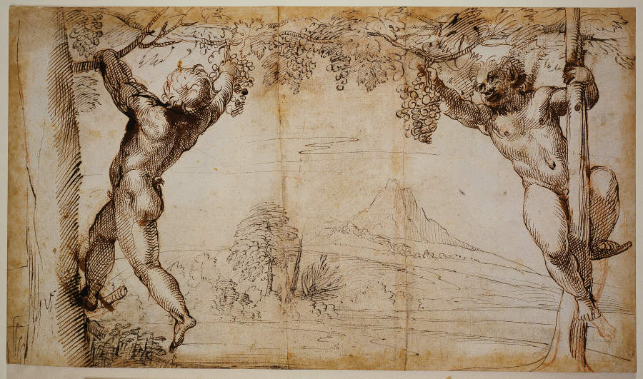 Two Young Satyrs picking Grapes od Annibale Carracci