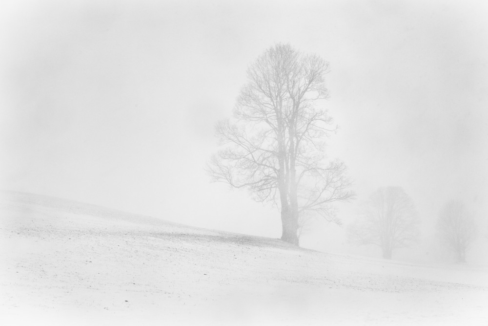 Misty winter in the Allgau od Annie Keizer