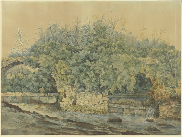 Verfallene Steinbrücke über einen Bach, von Büschen und Pflanzen überwuchert od Anonym