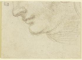 Study for the head of a woman