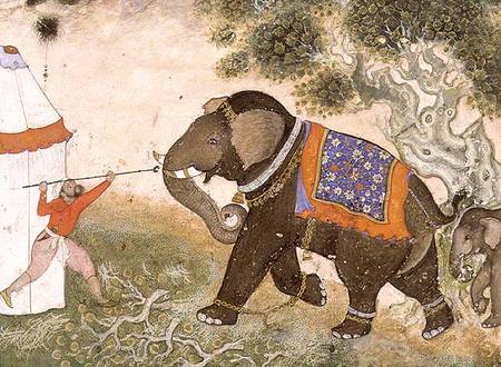 52.43 An enraged elephant, Mughal od Anonymous