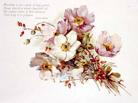 Friendship, Victorian, book illustration of flowers od Anonymous
