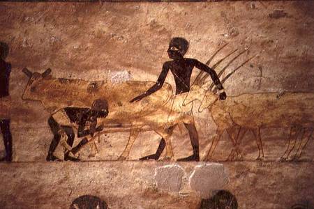 Procession with cattle and gazelles, detail from a tomb wall painting,Egyptian od Anonymous