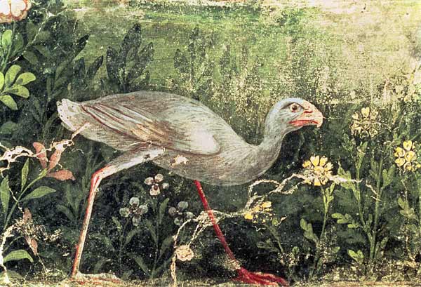 Wall painting of a Sultan chicken in a gardenPompeii od Anonymous