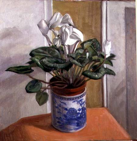 White Cyclamen in a Blue Vase od Anonymous