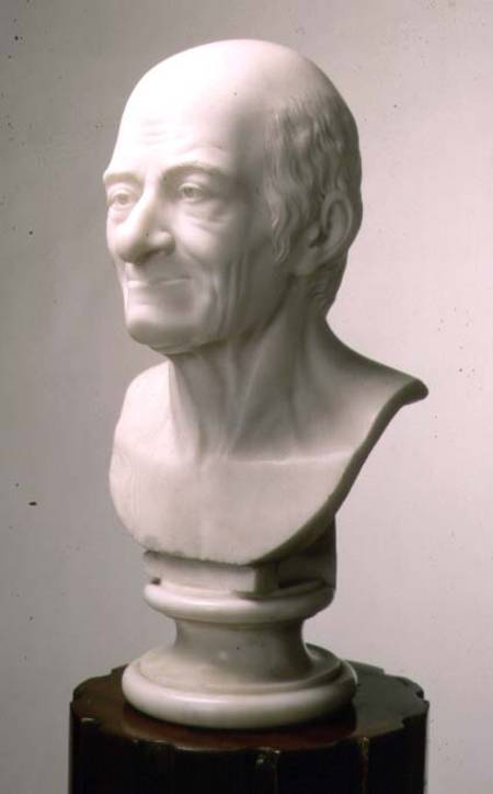 Marble bust of Voltaire od Anonymus