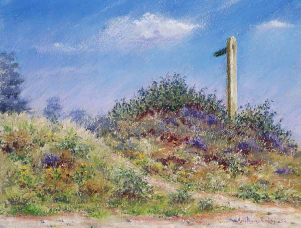 Public Footpath, 2002 (pastel on paper)  od Anthony  Rule