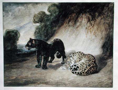 Two Jaguars from Peru od Antoine Louis Barye