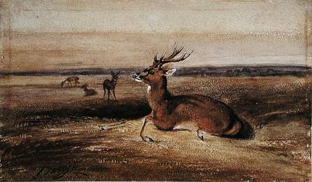 Resting Deer od Antoine Louis Barye
