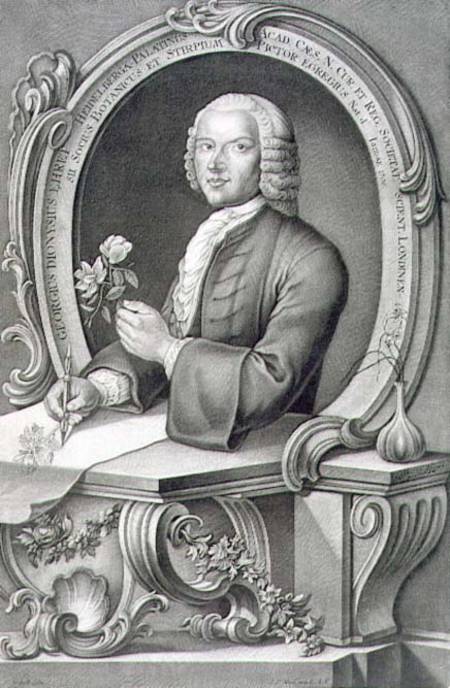 Portrait of Georg Dionysius Ehret (1710-70) engraved by Johann Jakob Haid (1704-67) od Anton Heckel