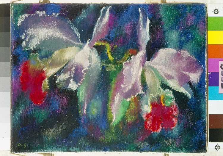 Orchidee od Antonio Augusto Giacometti