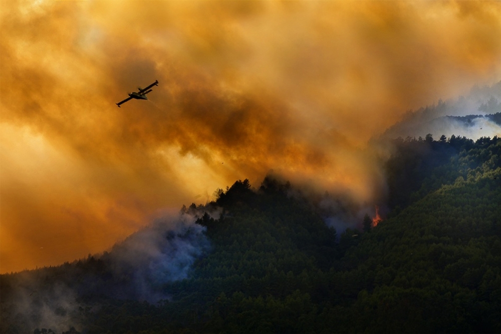 Fire in the Cilento National Park - Italy od Antonio Grambone