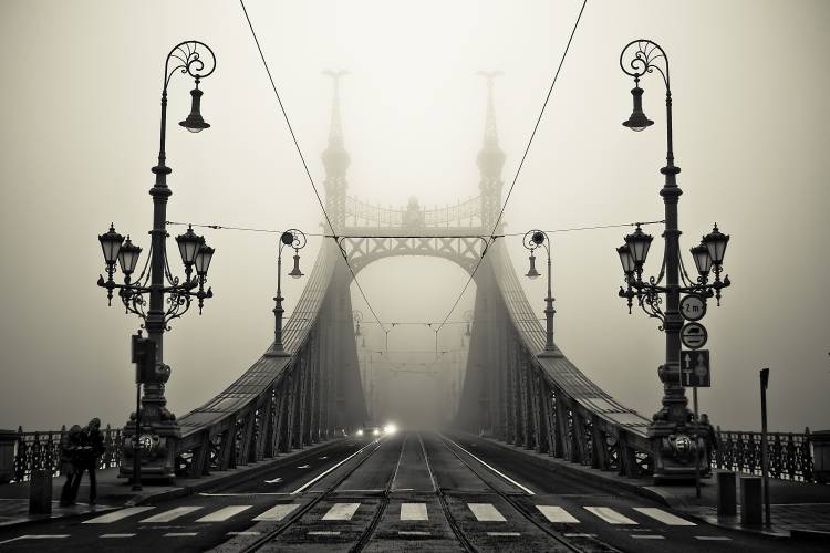 The Bridge od Armin Marten
