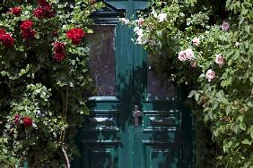 Rosen-Tür