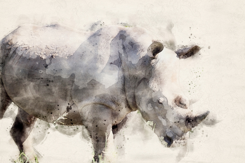 Abstract African Rhinoceros Watercolor Art od Arno Du Toit